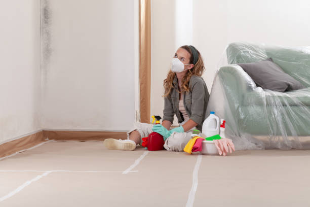 Reliable Mold Remediation contractor in Falls Church, VA by Mold Remediation HQ
